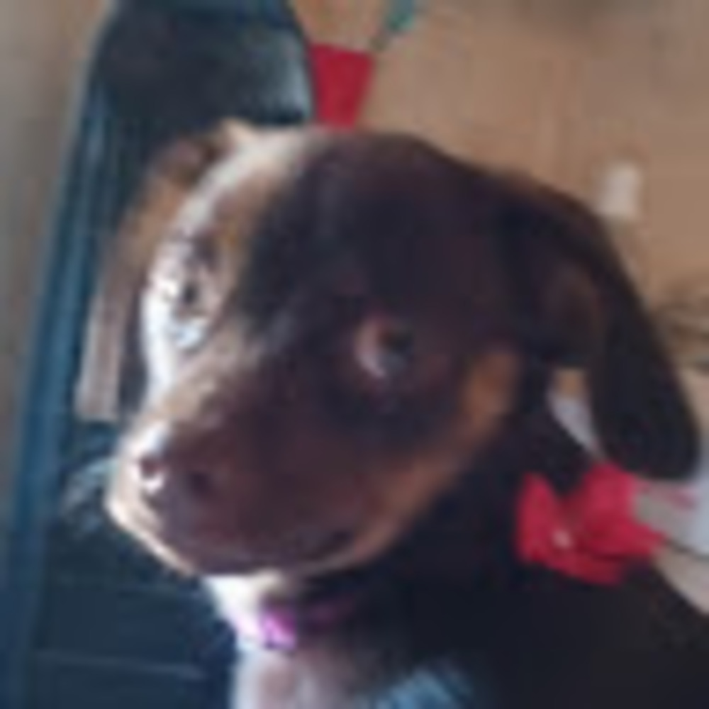 Meet your Posher, Linda